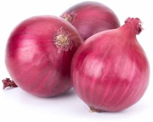 Red Onion Bulb