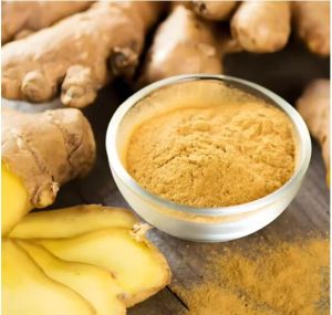 high quality natural pure ginger powder