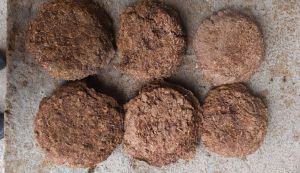 Cow Dung Cake