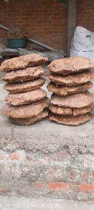 Cow Dung Cake