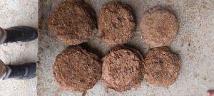 Cow Dung Cake