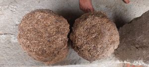 Cow Dung Cake