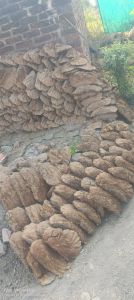 Cow Dung Brick