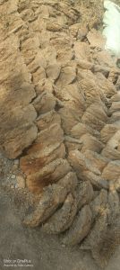Cow Dung Brick
