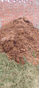 Wet Cow Dung