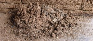 Wet Cow Dung