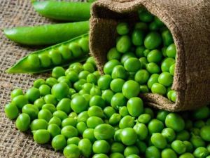 Organic Green Pea