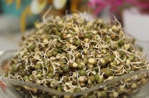 Organic Sprouted Moong