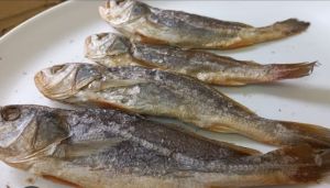 Dry Croaker Fish