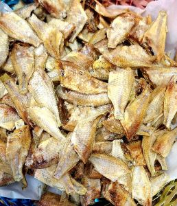 Dried False White Sardine Fish