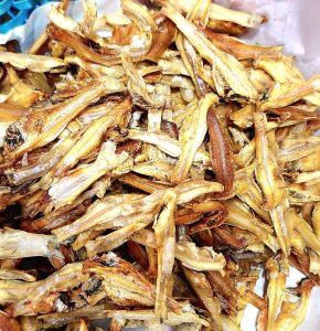 Dried White Anchovies Fish