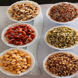 Dehydrated Sprouted Pulses