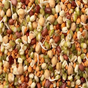 Mixed Bean Sprouts