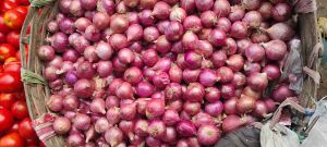 Fresh Red Onion