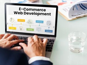 Ecommerce Website Development Services