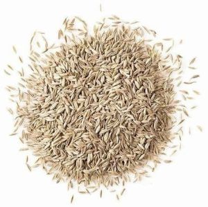 Premium Cumin Seeds