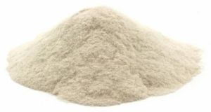 Xanthan Gum Powder