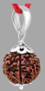 10 Mukhi Rudraksh Bead