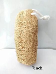 Cylindrical Natural Loofah