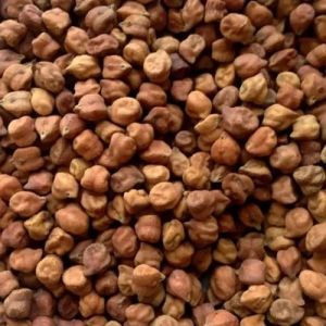 Black Chickpeas Seeds