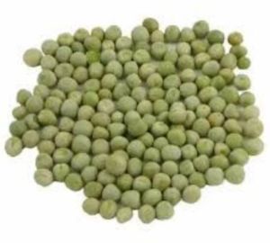Green Peas Seeds