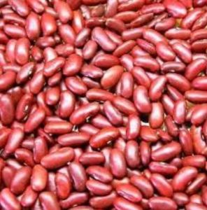 Kidney Beans Seeds