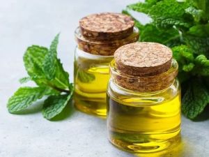 Crude Mentha Arvensis Oil