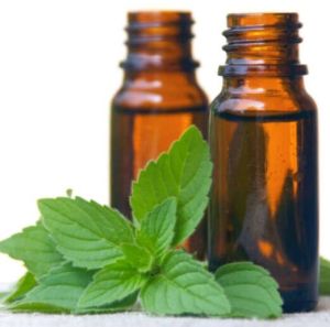 Crude Mentha Citrata Oil