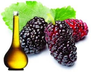 Mulberry Seed Oil