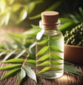 Neem Leaf Hydrosol