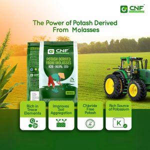 Cnf Potash Derived From Molasses Fertilizer, Granular