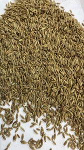 Strong Aroma Cumin Seeds
