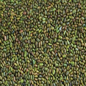 Green Sesbania Seeds