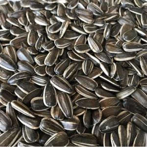 Premium Sunflower Seeds