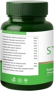 Stroke Herbal Capsules