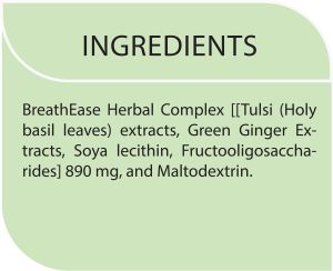 Breathe Ease Herbal Infusion Tulsi  Tea