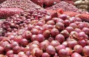 A Grade Fresh Red Onion