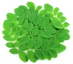 Organic Moringa Leaves