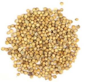 Premium Coriander Seeds