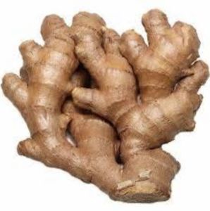 Premium Quality Ginger