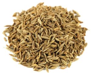 Superior Cumin Seeds