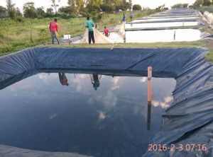 HDPE Pond Liner