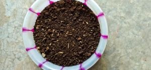cow dung cake