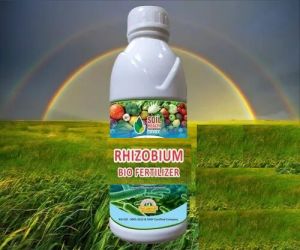 Rhizobium Biofertilizer