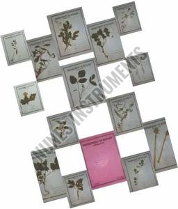 Botany Herbarium Sheet