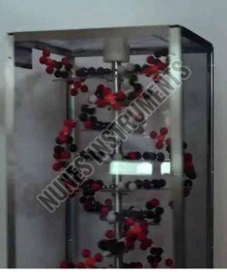 DNA Structure Model