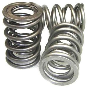 Valve Springs