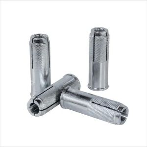 Stainless Steel Drop In Anchor Bolt