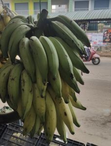 Fresh Banana Fruit