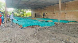 Vermicompost Powder